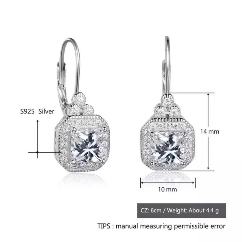 Luxury 100% Solid 925 Silver Sassy Earrings